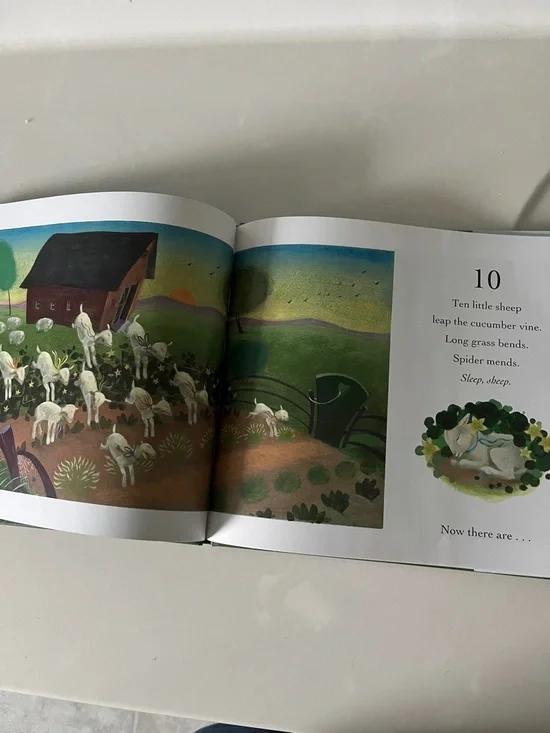 Ten Sleepy Sheep Kids Book - Picture 4 of 6